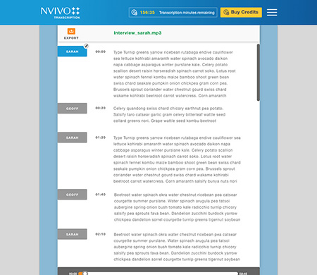 what is nvivo used for